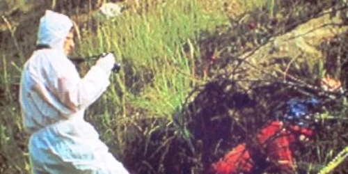 Reşiţa: Autorul omorului în stil Camorra a fost identificat