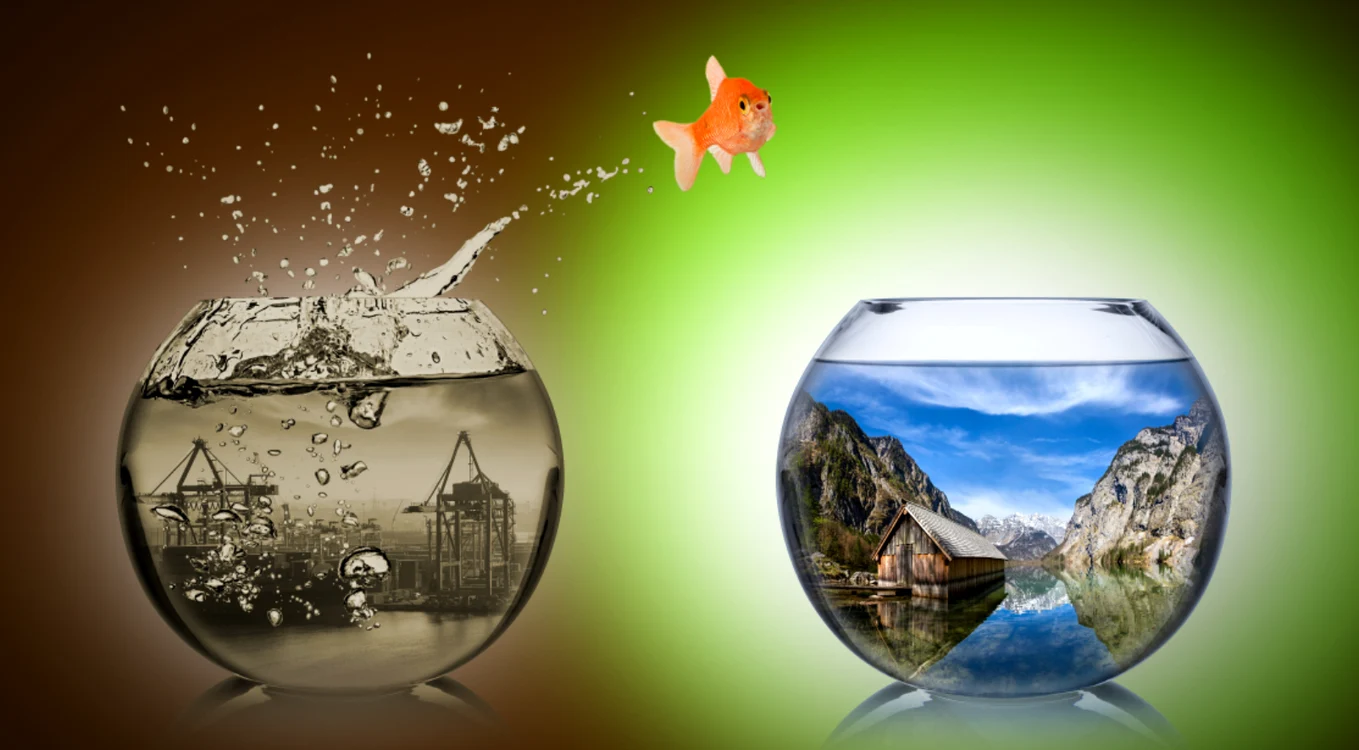 
    Horoscop zilnic 2 august 2021: Taurii sunt dornici să încerce lucruri noiFoto: Shutterstock  