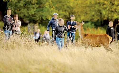 Oamenii din parc au sărit imediar în ajutorul tinerei atacate