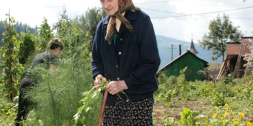 Neamţ: Pelerinaj la femeia-vraci din Sabasa