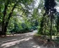 parcul dendrologic din simeria foto daniel guta adevarul