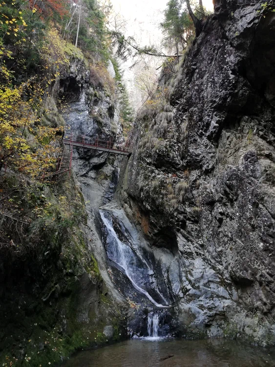 Canionul Valea lui Stan Foto: Arhivă personală