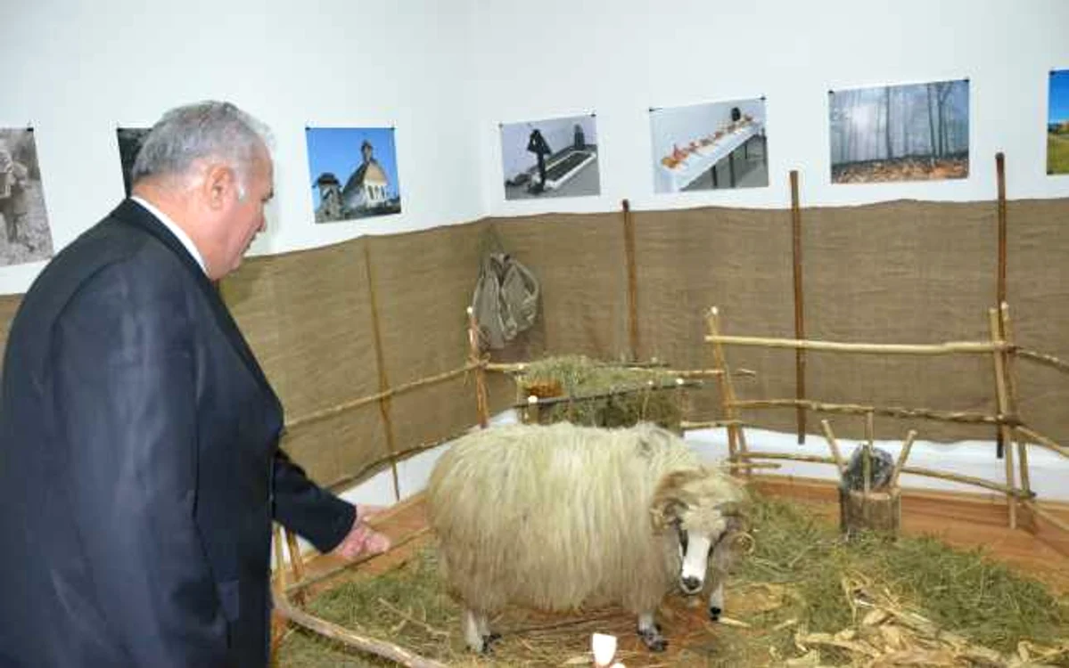 Ion Călinoiu