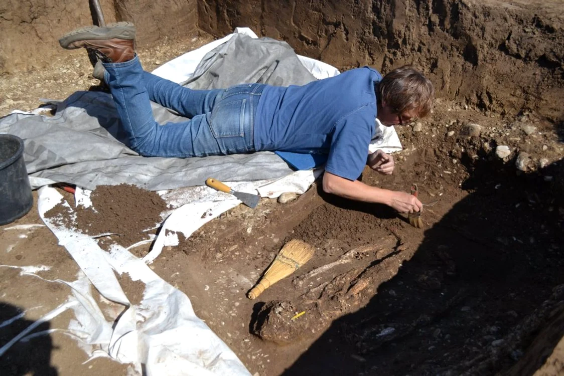 Muzeul Judetean de Istorie si Arheologie Prahova 2 jpg jpeg