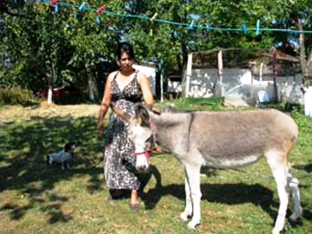 Măgarul de la casa din Buzău a rămas în grija soţiei