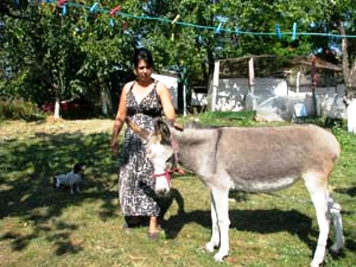 Măgarul de la casa din Buzău a rămas în grija soţiei