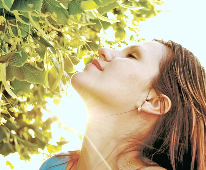 
    Florile de tei combat insomnia  