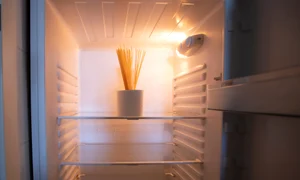O rola de hartie igienica in frigider Motive a aplici ideea Sursa foto shutterstock 1693155208 jpg