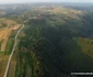 Drumul Cerbăl   Feregi din Poiana Răchițelii  Foto Daniel Guță ADEVĂRUL (47) JPG
