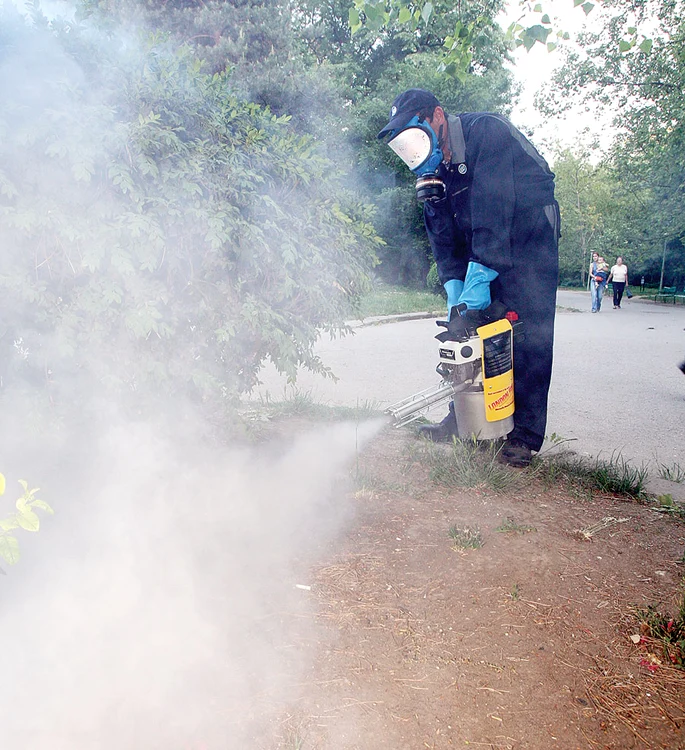 
    Dacă nu vor avea succes cu stârpirea ţânţarilor  de la nivelul solului, autorităţile  vor acţiona şi din aer, aşa cum au făcut-o anul trecut (foto: Dan Bistriţeanu)  