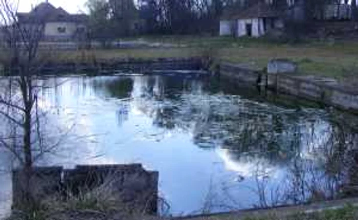 Bazinele părăsite vor fi transformate în aqualand Foto: Mihai Bacalu