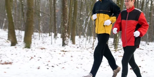 Activitatea fizică îmbunătăţeşte circulaţia sângelui