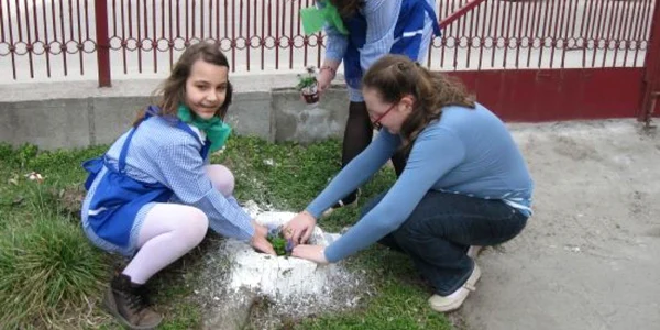 Elevii au amenajat grădina şcolii