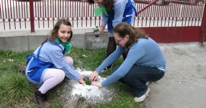 Elevii au amenajat grădina şcolii