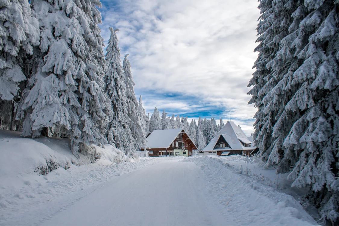 Loc de vis în Mădăraș FOTO Shutterstock