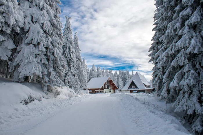 Loc de vis în Mădăraș FOTO Shutterstock