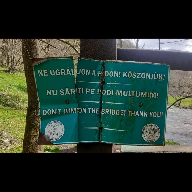 Cu ochii n 3,14 jpeg