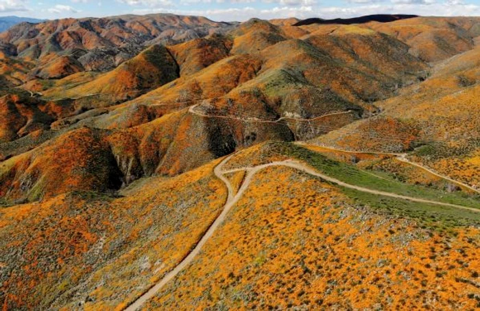 Lake Elsinore FOTO GETTY IMAGES