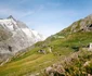 Șoseaua Alpină  Sursa Facebook Grossglockner Hochalpenstrasse (11) jpg