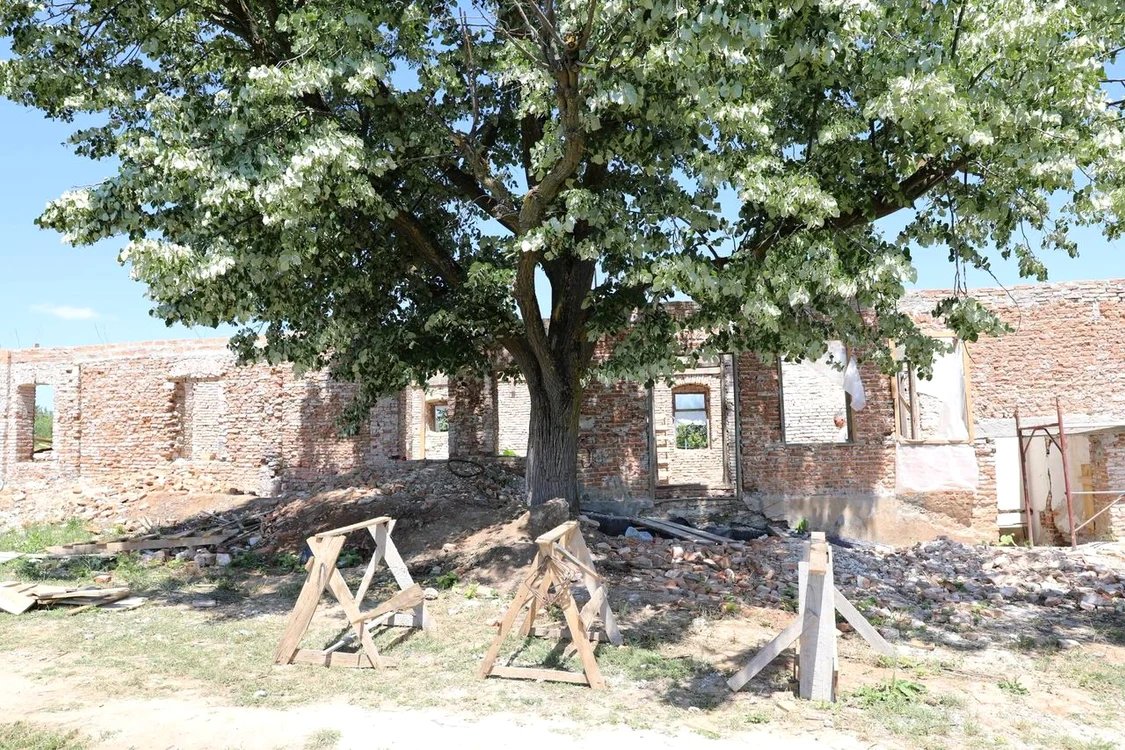Casa din Goiești în care și-a petrecut copilăria Alexandru Macedonski (© Facebook / Cosmin Vasile)