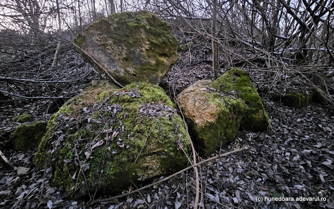 Lacul Cinciș, locul unei necropole misterioase   Foto Daniel Guță  ADEVĂRUL (87) jpg