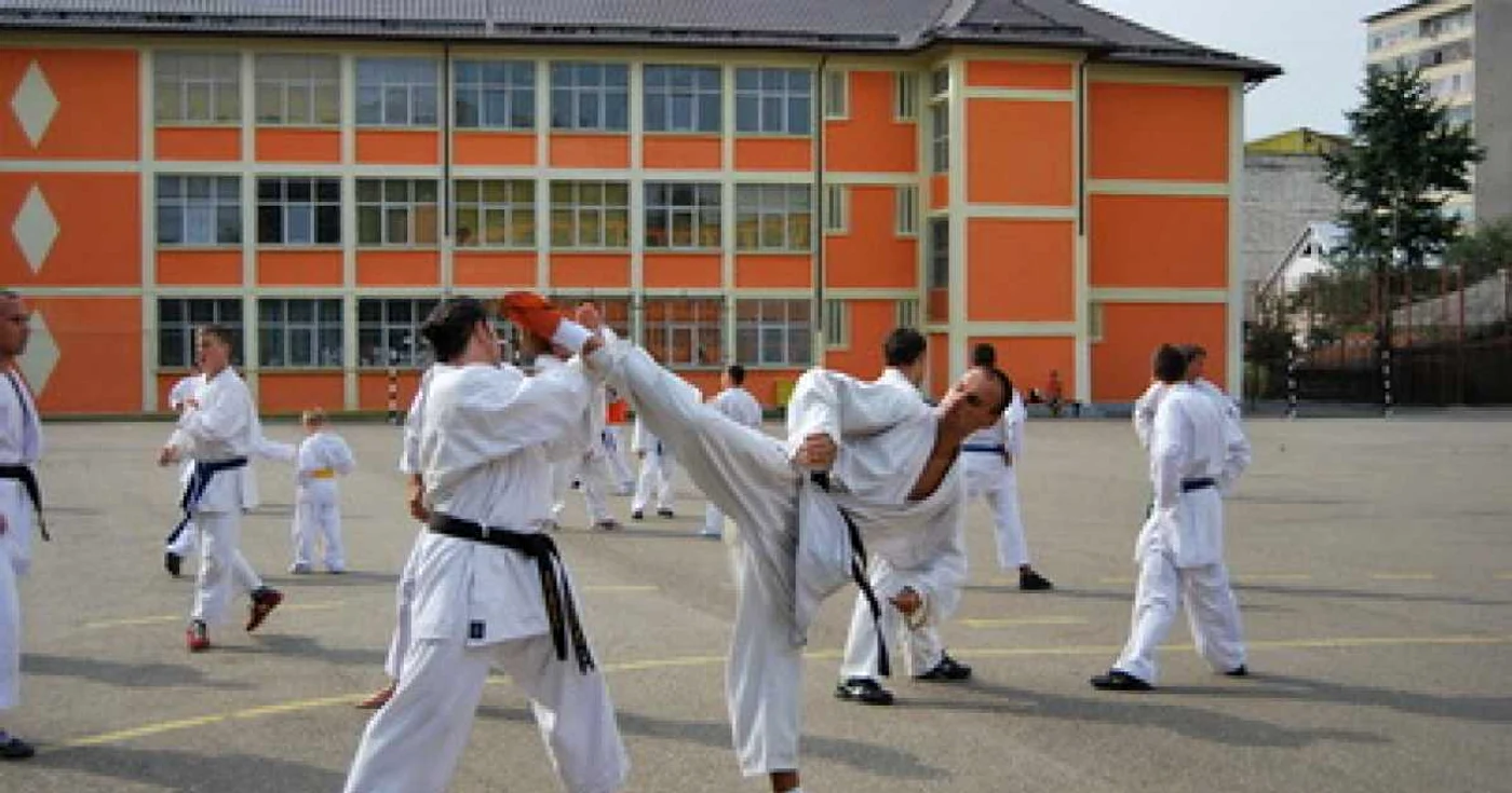 Neamţ: Sportivii clubului Ronin au luat şapte medalii la Campionatul Naţional de Karate