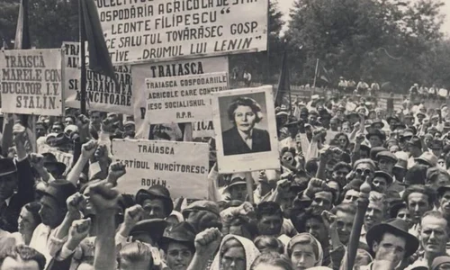 Regii României pe înţelesul analfabeţilor de tip nou jpeg