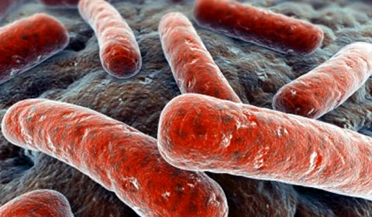 
    Așa arată bacteria care provoacă ”boala legionarului” și se transmite prin aer  