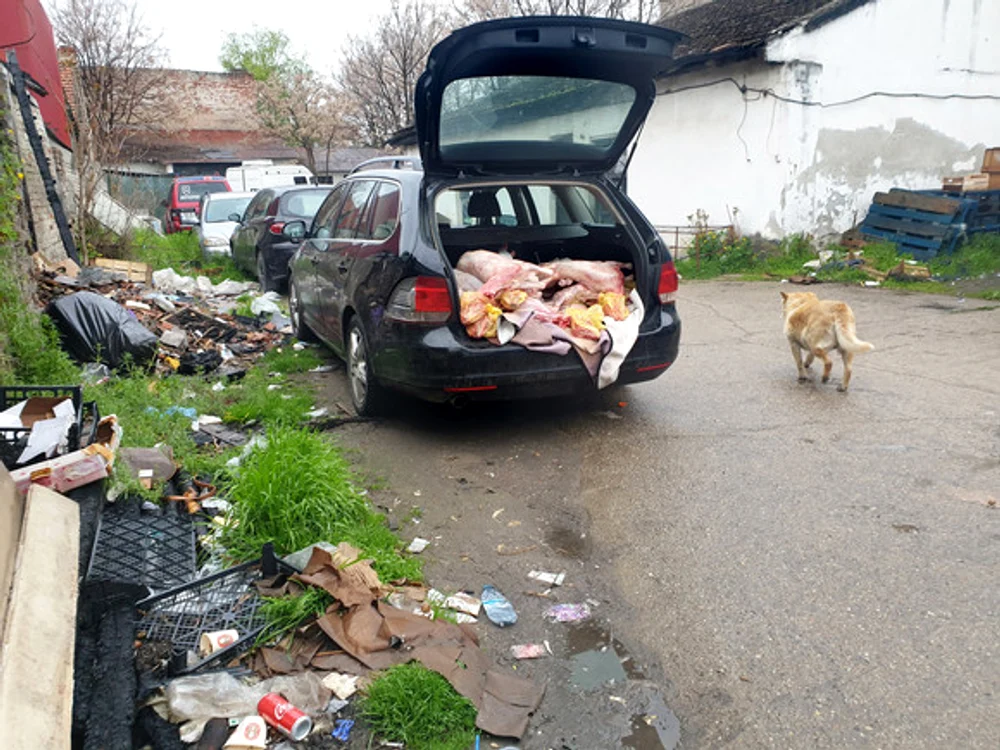 
    foto: Mediafax  