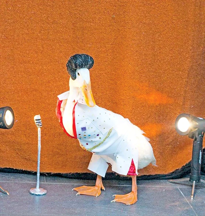 “Love me tender... Eu l-am învăţat pe Elvis să danseze!”