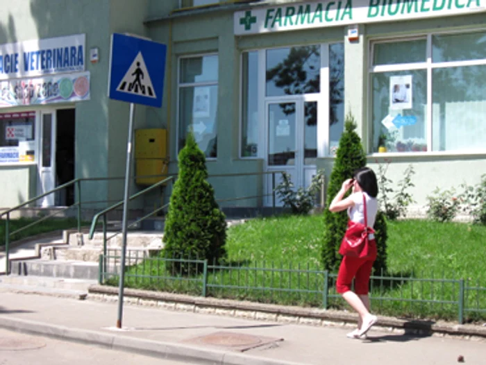 Suceava:Pastilele, interzise pe timp de noapte la Suceava