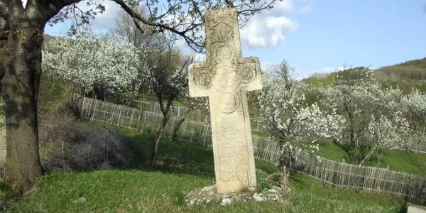 buzau