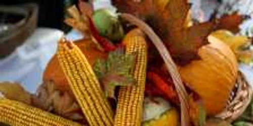 Clujenii îşi vor putea cumpăra fructe şi legume de la târgul „Produs de Cluj“ din acest weekend  (foto arhivă)