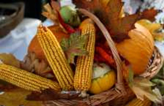 Clujenii îşi vor putea cumpăra fructe şi legume de la târgul „Produs de Cluj“ din acest weekend (foto arhivă)