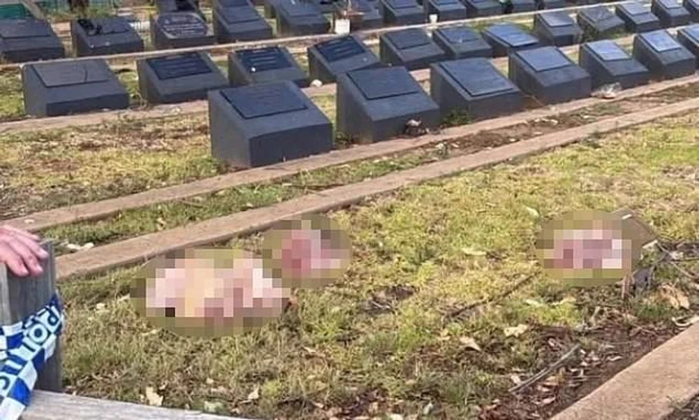 Capete de porc aruncate pe morminte musulmane în Sydney, după atacul terorist de pe Plaja Bondi: „Nu face decât să alimenteze furia, durerea și divizarea”