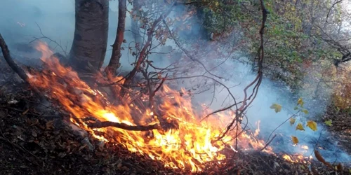 incendiu alba apuseni