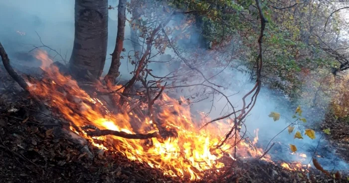 incendiu alba apuseni