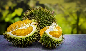 durian 3597242 1280 jpg