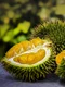 durian 3597242 1280 jpg