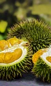 durian 3597242 1280 jpg