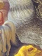 2 tablou  jpg
