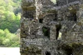 Ruinele Turnului Spart de la Turnu Roşu - Sibiu Foto Blogsport Salvează monumentul