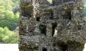 Ruinele Turnului Spart de la Turnu Roşu - Sibiu Foto Blogsport Salvează monumentul