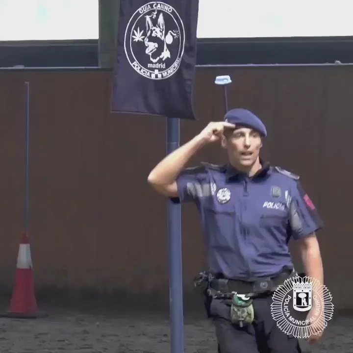 Paco, câinele-erou care a cucerit internetul. „Polițistul cu blană” impresionează cu o demonstrație spectaculoasă de prim ajutor