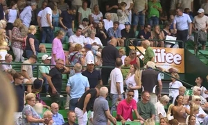 halle jpg