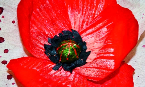 1 64197 original jpg jpeg