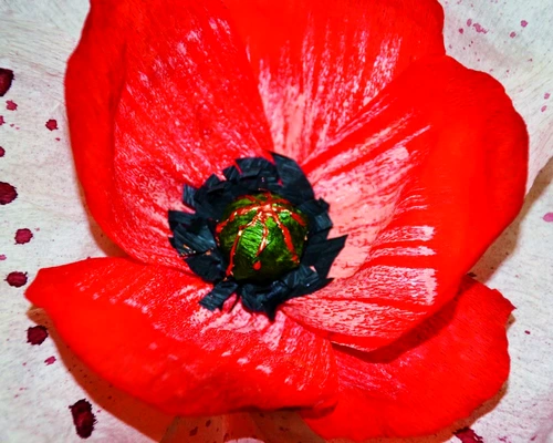 1 64197 original jpg jpeg