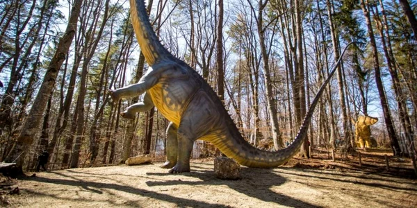 Dino Râşnov FOTO europafm.ro