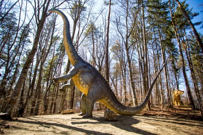 Diplodocus de la Dino Park Râşnov FOTO europafm.ro