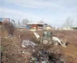 Gunoaie Nădlac 2 jpg